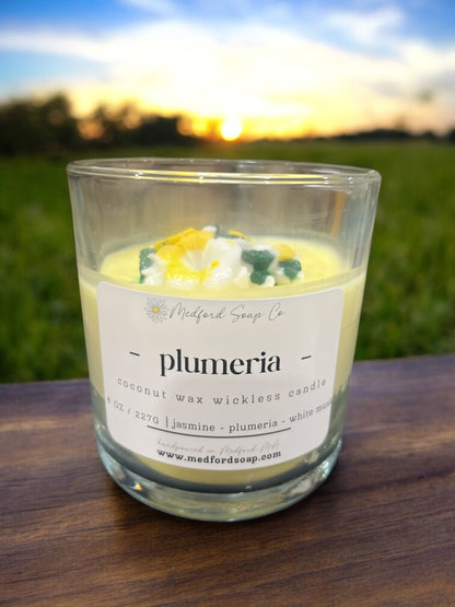 Wickless Candles & Wax Melt Cups - Renee Lane Company