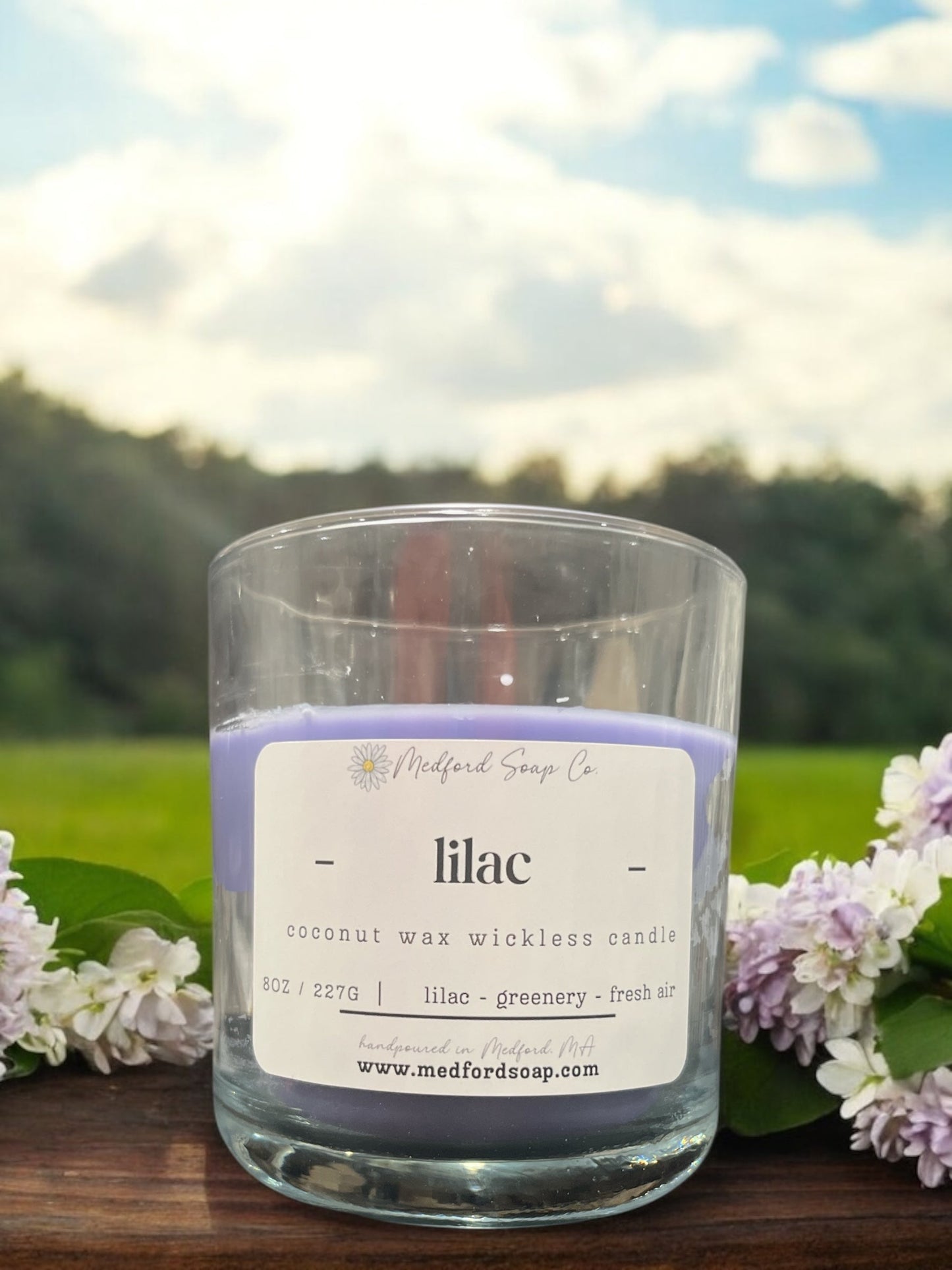 Wickless Candles & Wax Melt Cups - Renee Lane Company