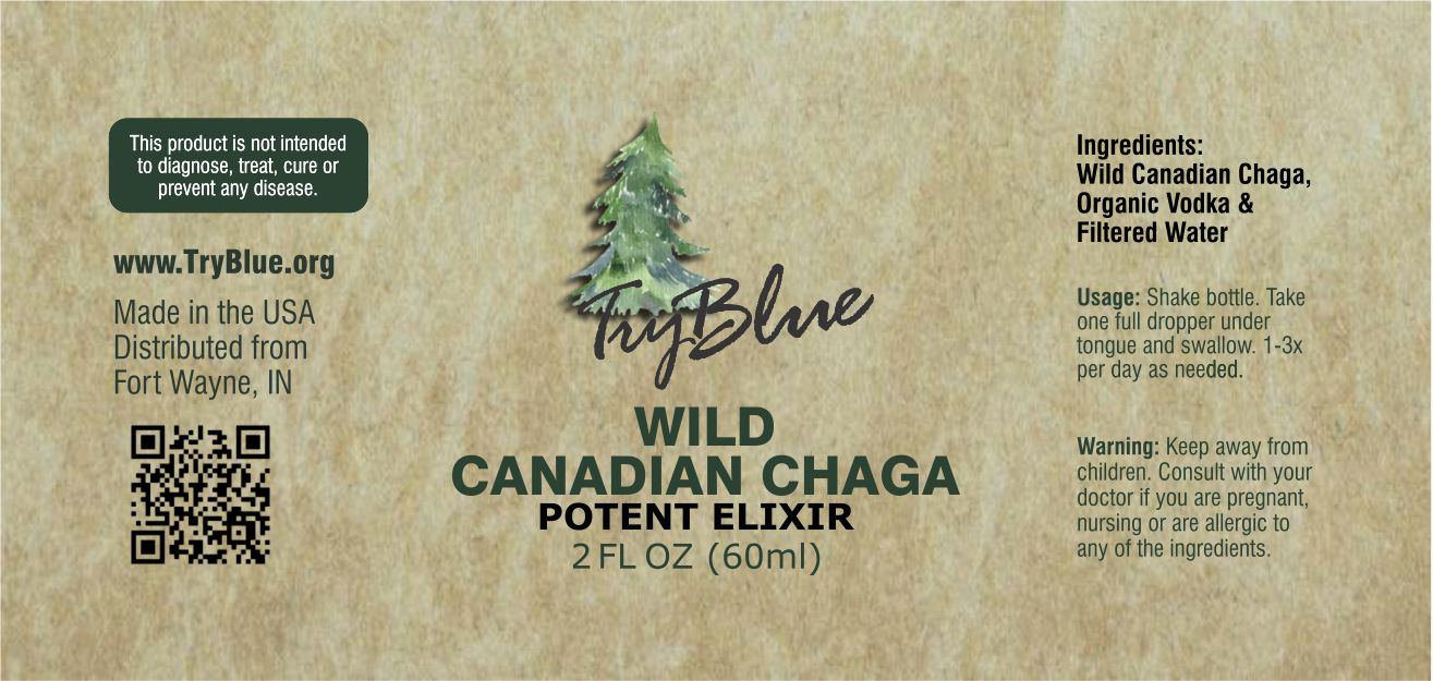 Wild Canadian Chaga Elixir - Renee Lane Company