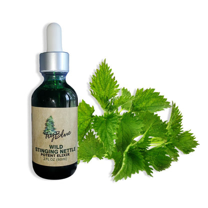 Wild Stinging Nettle Elixir - Renee Lane Company