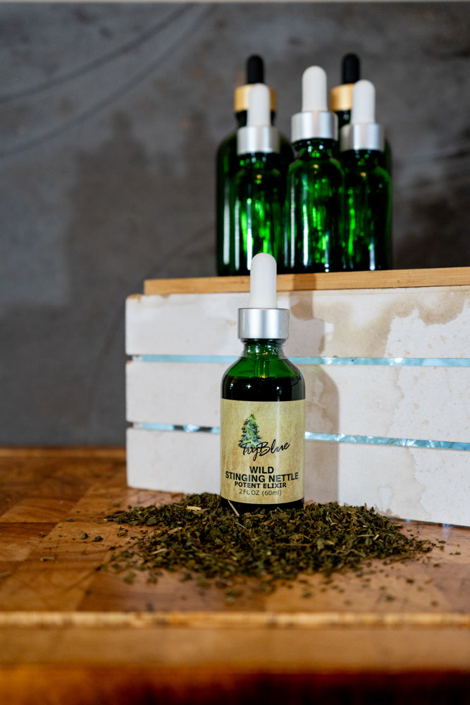 Wild Stinging Nettle Elixir - Renee Lane Company