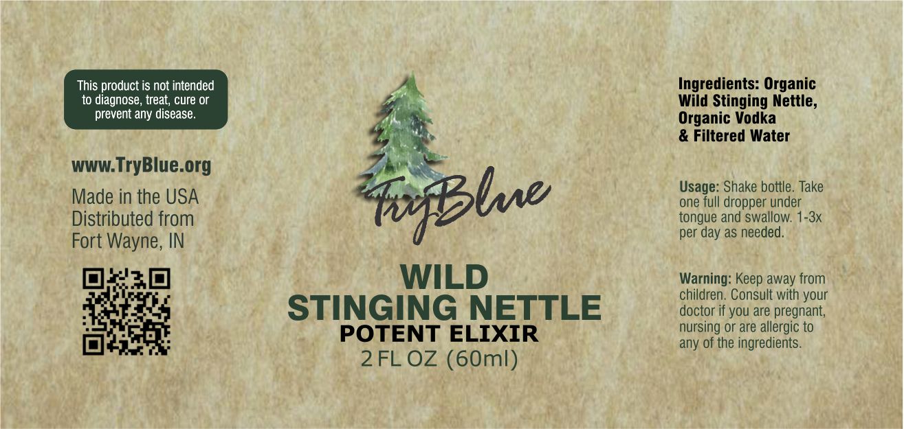 Wild Stinging Nettle Elixir - Renee Lane Company