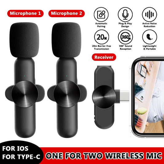 Wireless lavalier microphone portable audio video recording mini microphone for iPhone Type C ipad live game phone microphone - Renee Lane Company