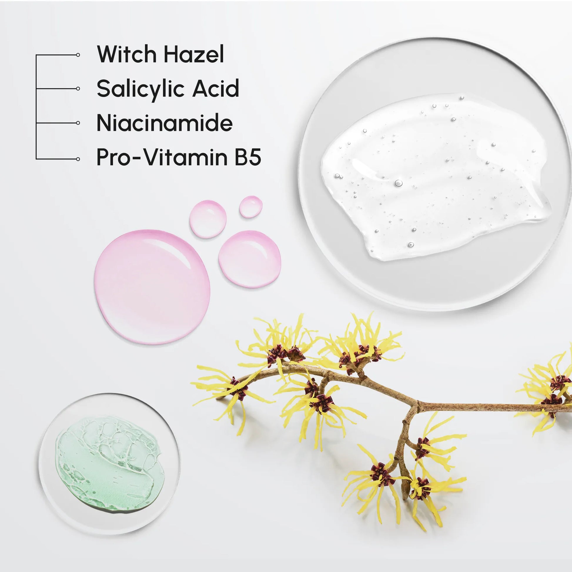 Witch Hazel Clearing Pads - Renee Lane Company