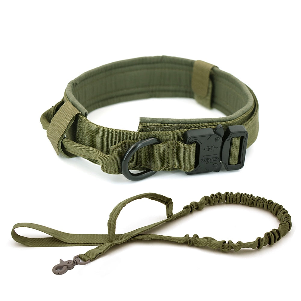 Olive green dog collar with metal D-ring, buckle, and matching leash strap