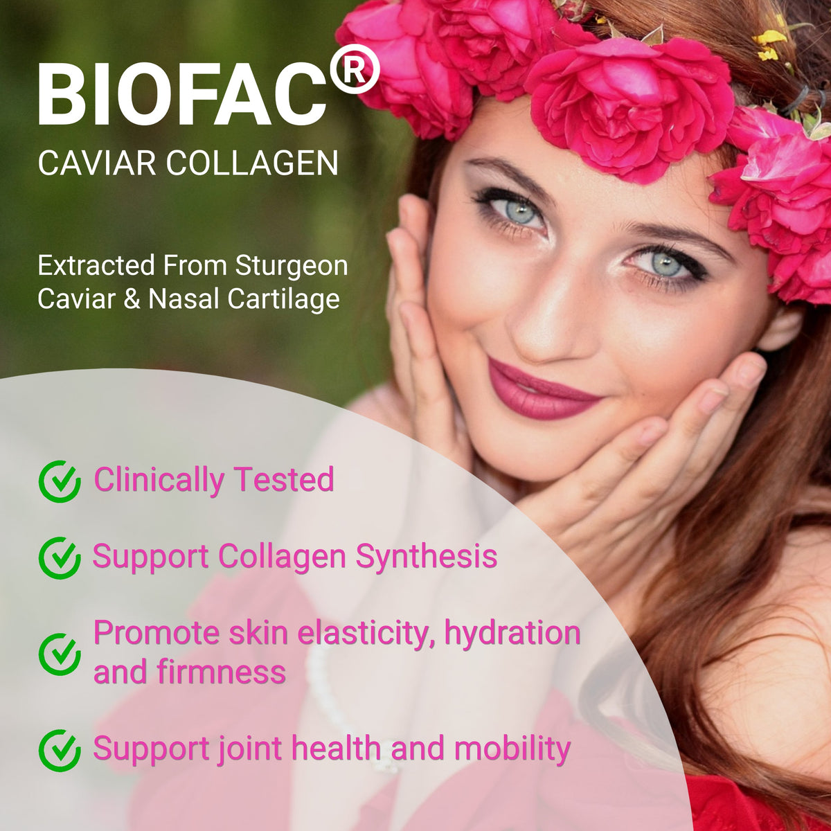 Women's Pre Probiotics Collagen - Renee Lane Company