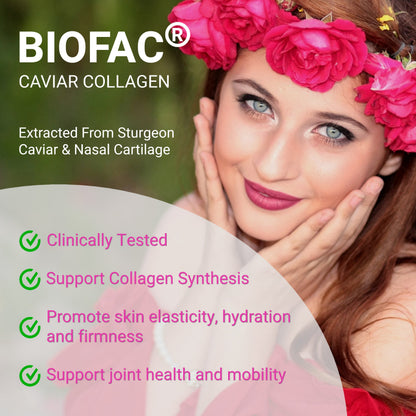 Women's Pre Probiotics Collagen - Renee Lane Company