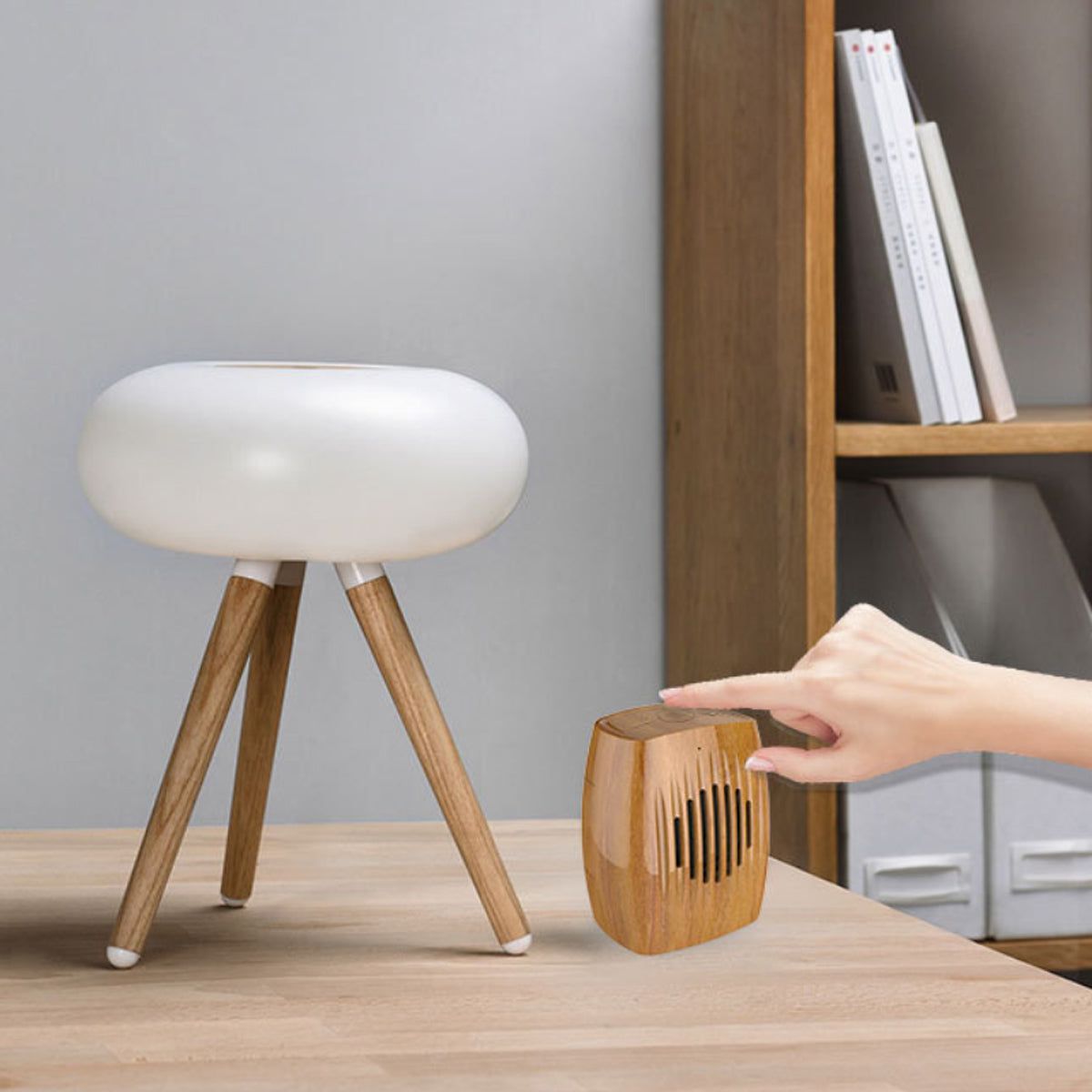 Woodchuck Retro Bluetooth Speaker - Renee Lane Company