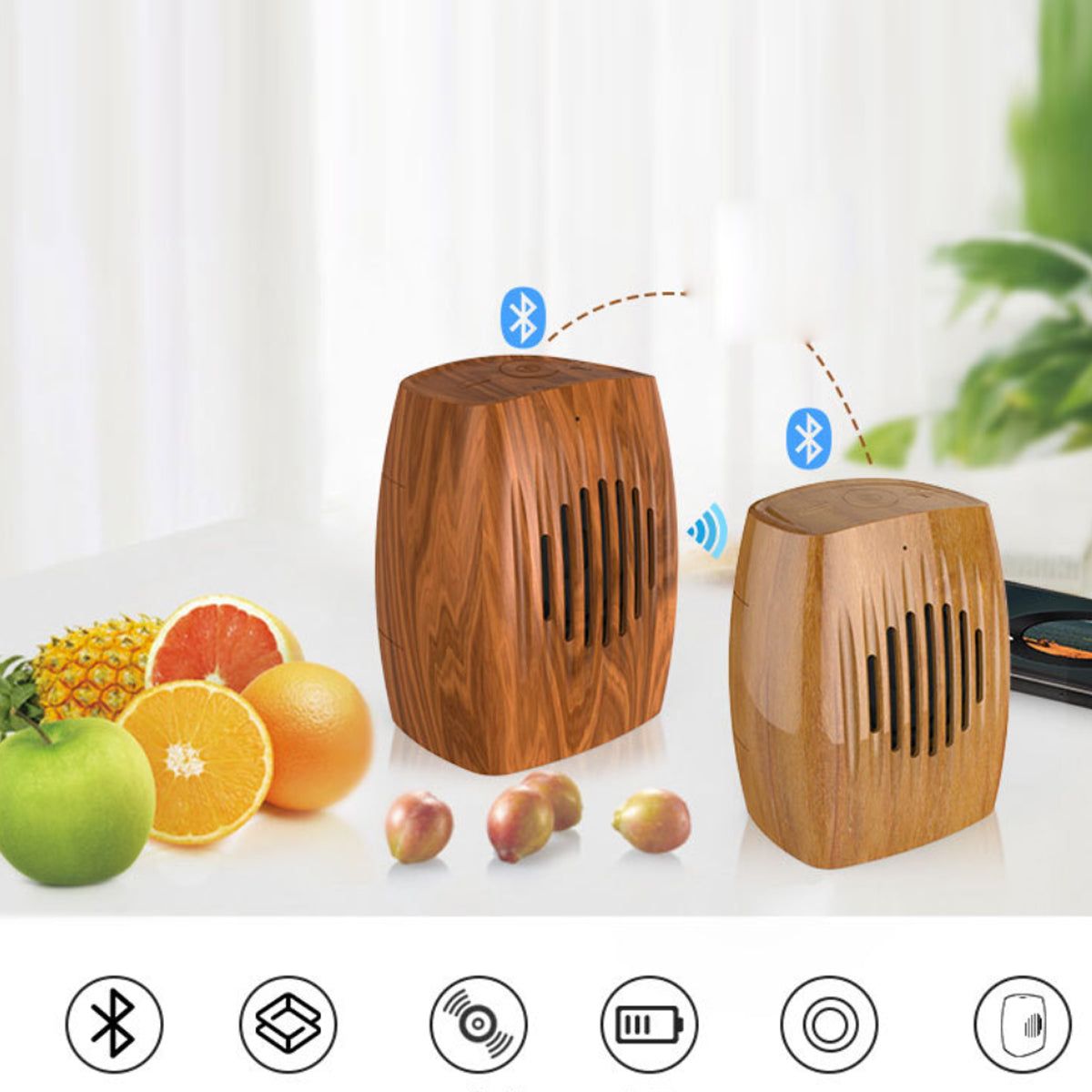 Woodchuck Retro Bluetooth Speaker - Renee Lane Company