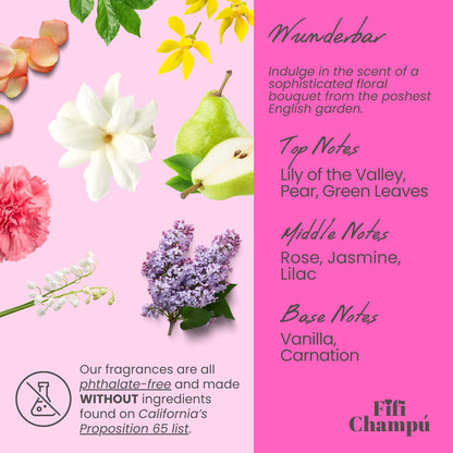 Wunderbar Conditioner Bar: Nourishing, Plant-Based Hydration - Renee Lane Company