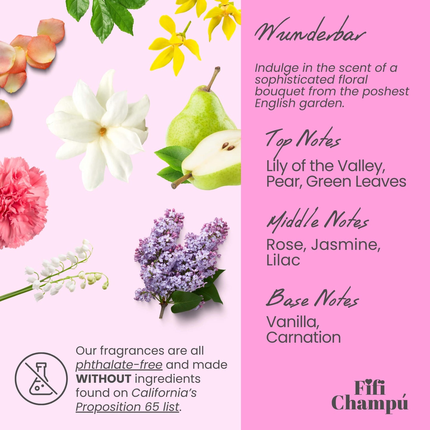 Wunderbar Shampoo Bar: Hydrating, Shine-Boosting Care for Fine to Normal Hair - Renee Lane Company