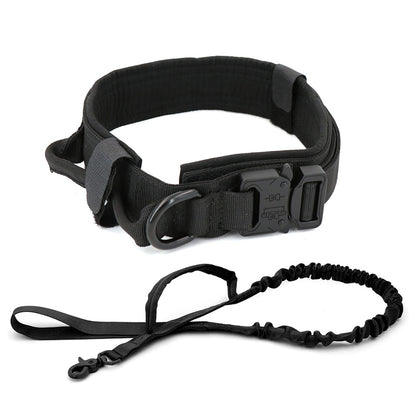 Black dog collar with metal D-ring, adjustable buckle, and attached leash strap
