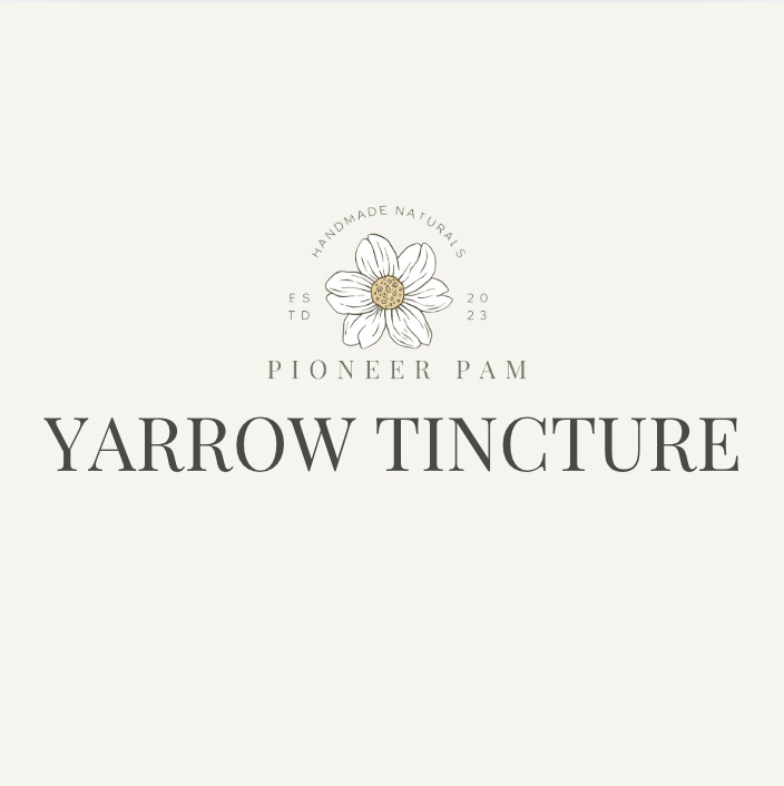 Yarrow Tincture - Renee Lane Company