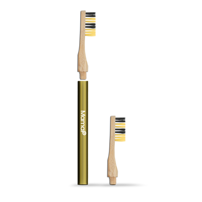 Revolve Toothbrush Starter Set