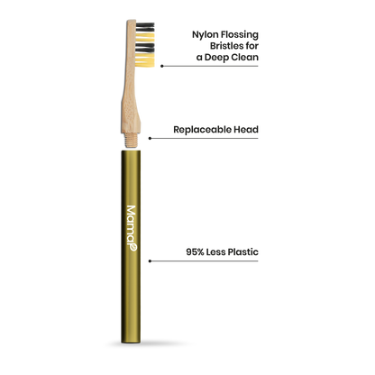 Revolve Toothbrush Starter Set