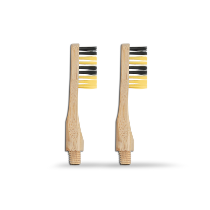 Revolve Toothbrush Starter Set
