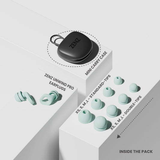 Earplugs set with mint tips and small black ZENZ mini case in box