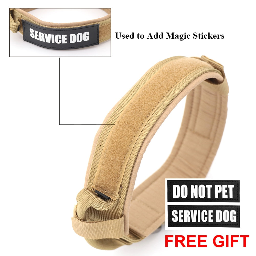 Beige fabric dog collar with padded lining and metal buckle