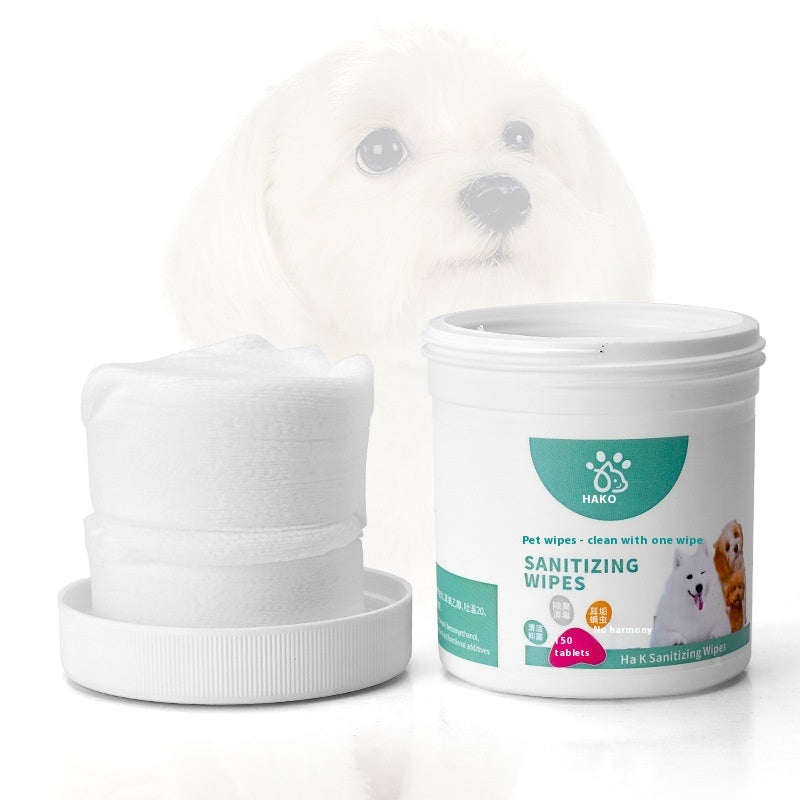 Pet sanitizing wipes canister with folded wipe stack, white tub and teal label