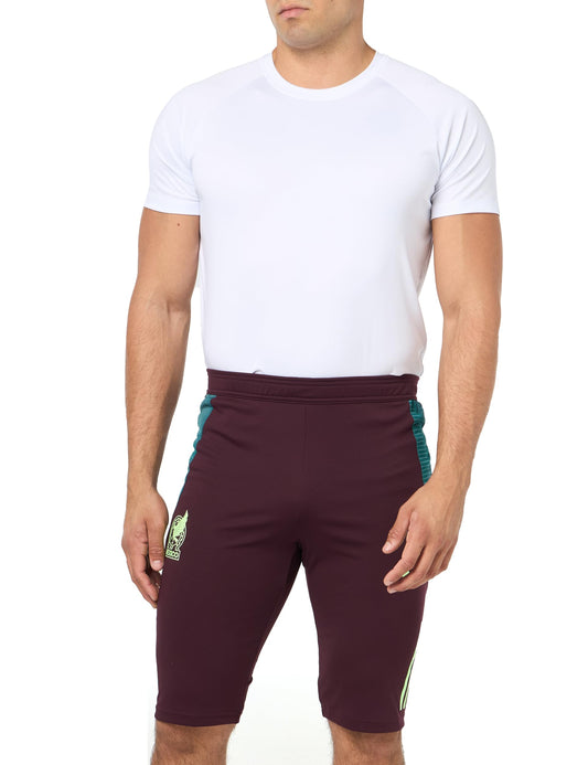 adidas Mens Standard Mexico 2024 Tiro Training Shorts Dark Burgundy/Green Spark - Renee Lane Company