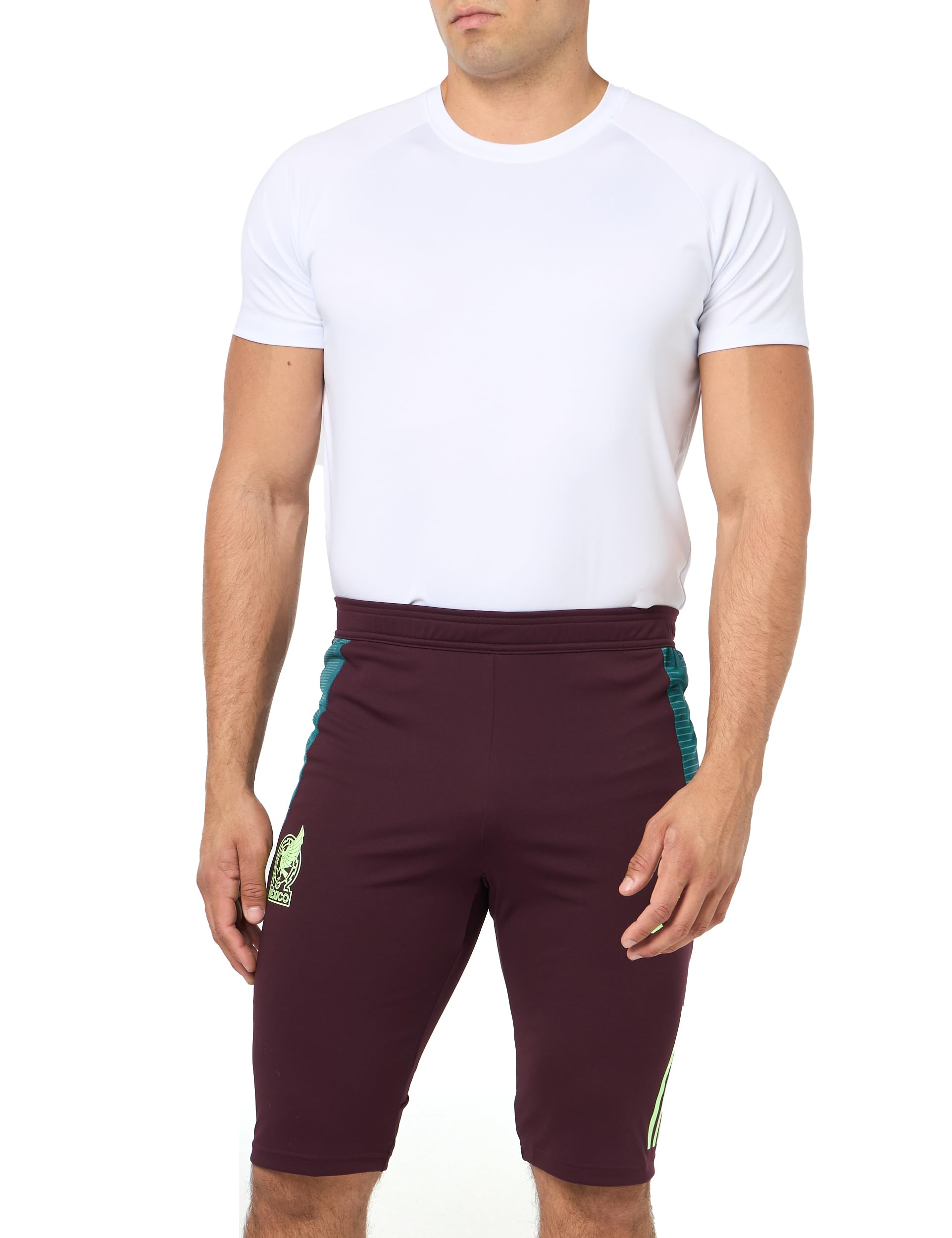 adidas Mens Standard Mexico 2024 Tiro Training Shorts Dark Burgundy/Green Spark - Renee Lane Company