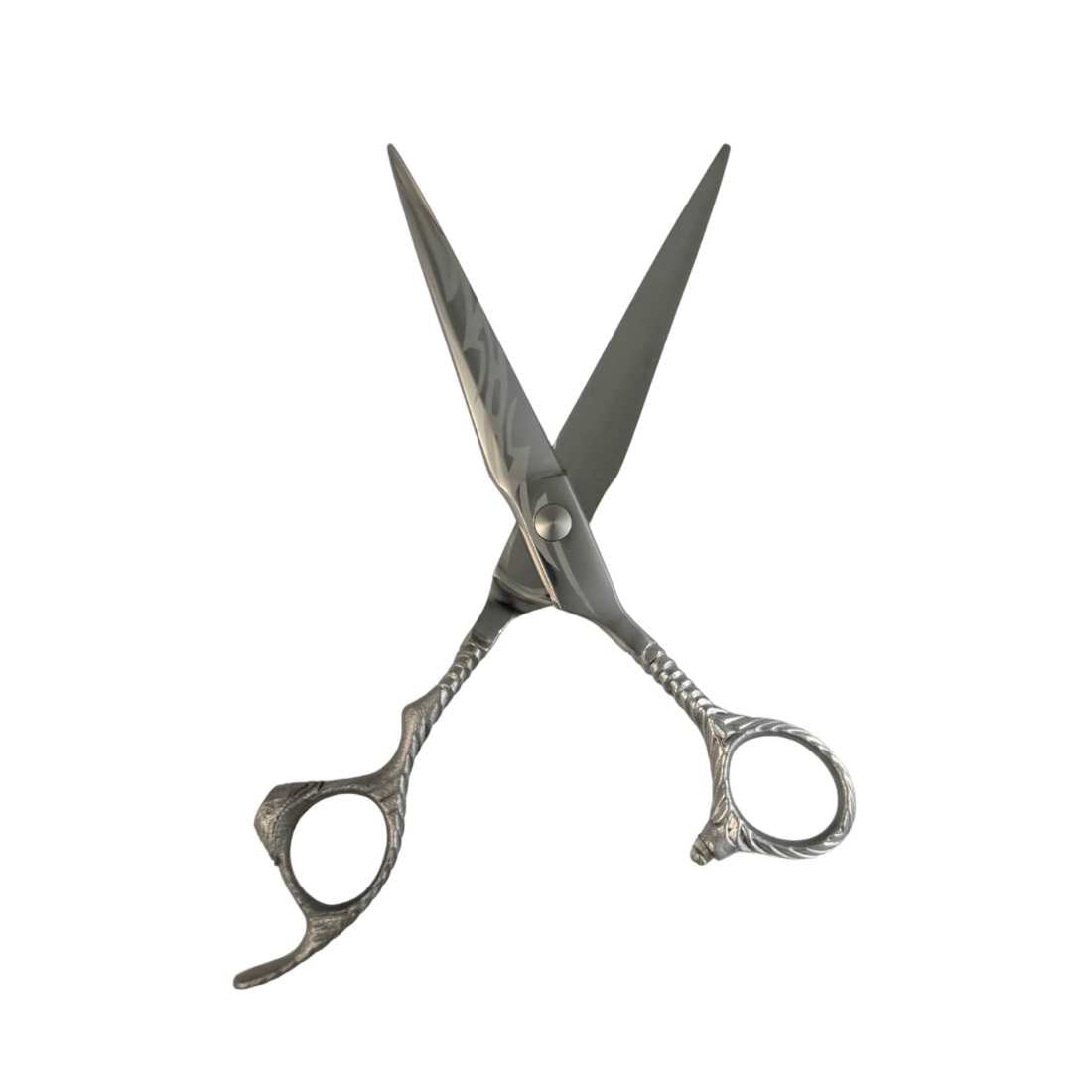 Stainless steel hair scissors with two pointed blades and circular finger loops