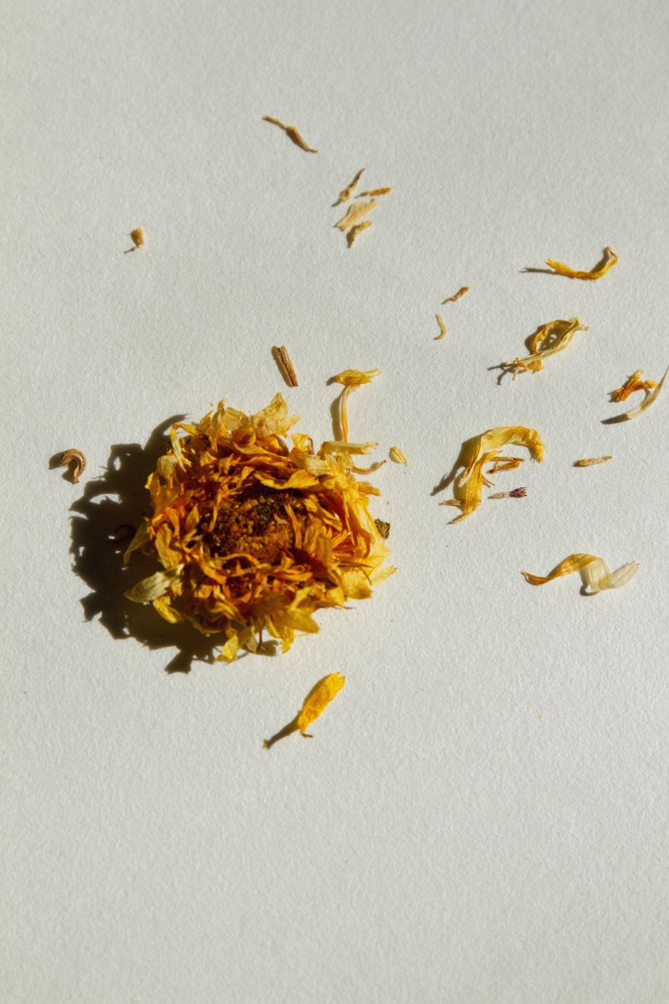 Dried herb flakes and plant bits in golden and amber tones