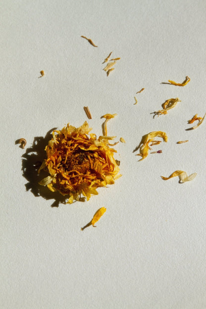 Dried herb flakes and plant bits in golden and amber tones