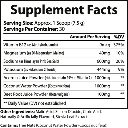 Blue Raspberry Electrolyte Hydration – Sugar-Free | Refreshing & Rapid Rehydration Formula