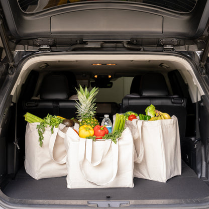 Off-white canvas tote bag with handles filled for groceries in open trunk