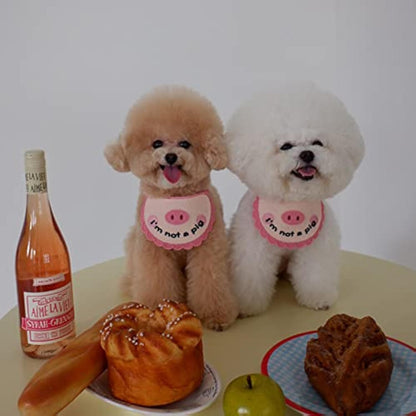 Pink crocheted pet saliva towel with pig face worn by two small dogs