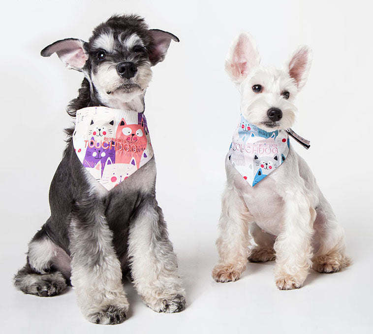 Dog bandana worn by two dogs, colorful cat-face print on dark and white fur