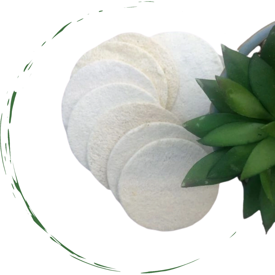 Loofah sponge pads, round discs in light beige, stacked in a close-up.