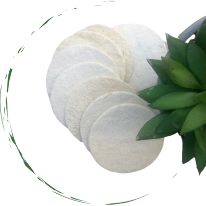 Loofah sponge pads, round discs in light beige, stacked in a close-up.