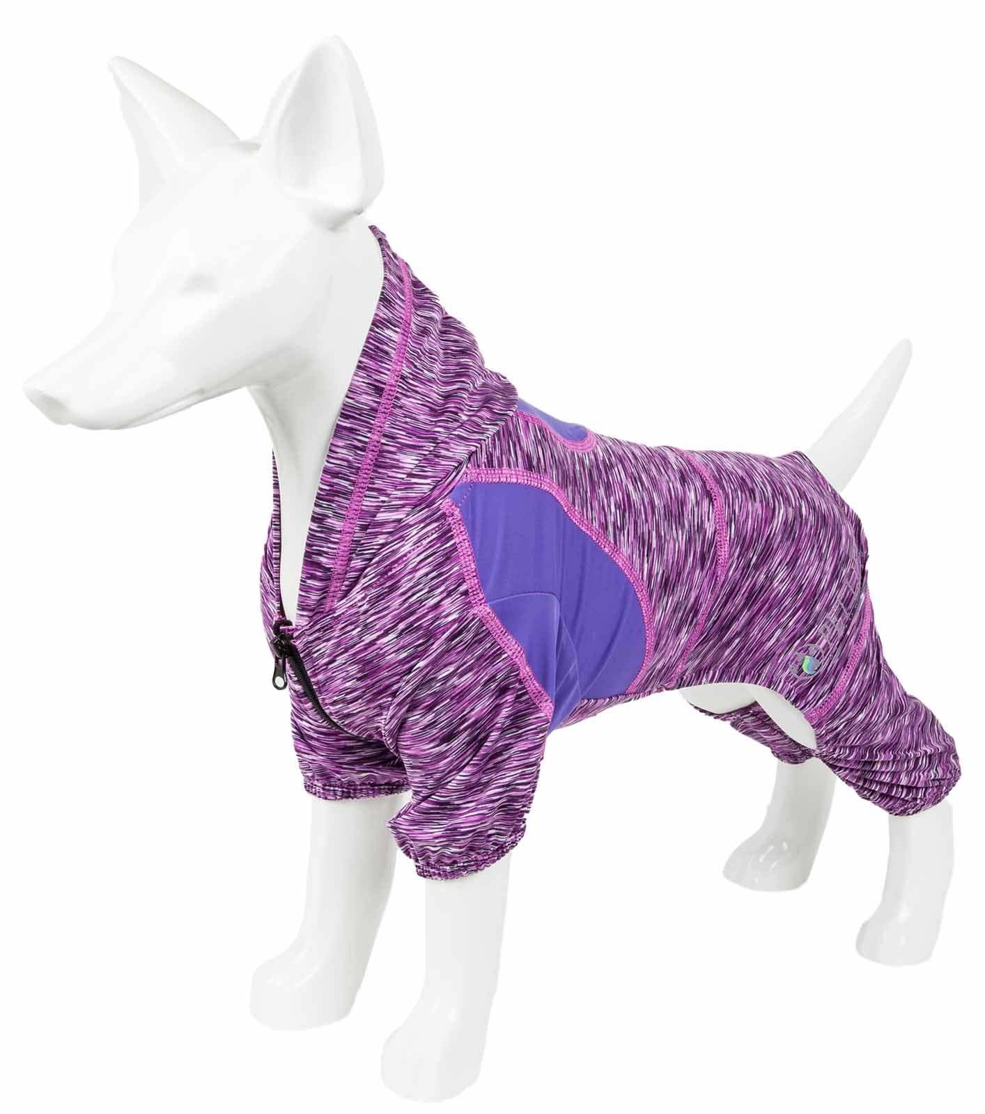 Dog warm up hoodie in heather purple with blue side paneling and hood