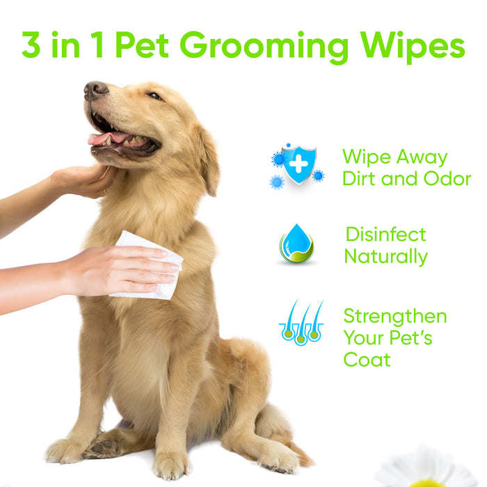 Dog grooming wipes used on a dog’s face and coat, hand applying wipe