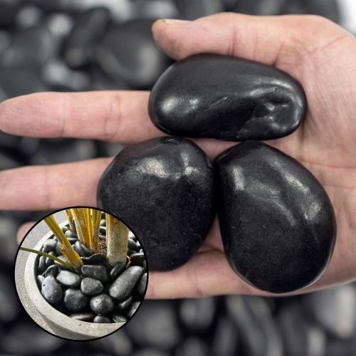 Polished black river rocks in hand, smooth dark oval stones