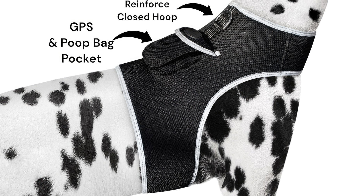 Dog GPS tracking harness detail: black mesh, paw-print panels, reinforced pocket