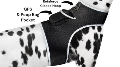 Dog GPS tracking harness detail: black mesh, paw-print panels, reinforced pocket
