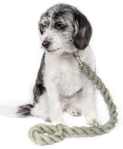 Olive woven dog leash with braided rope and metal clip, laid across dog