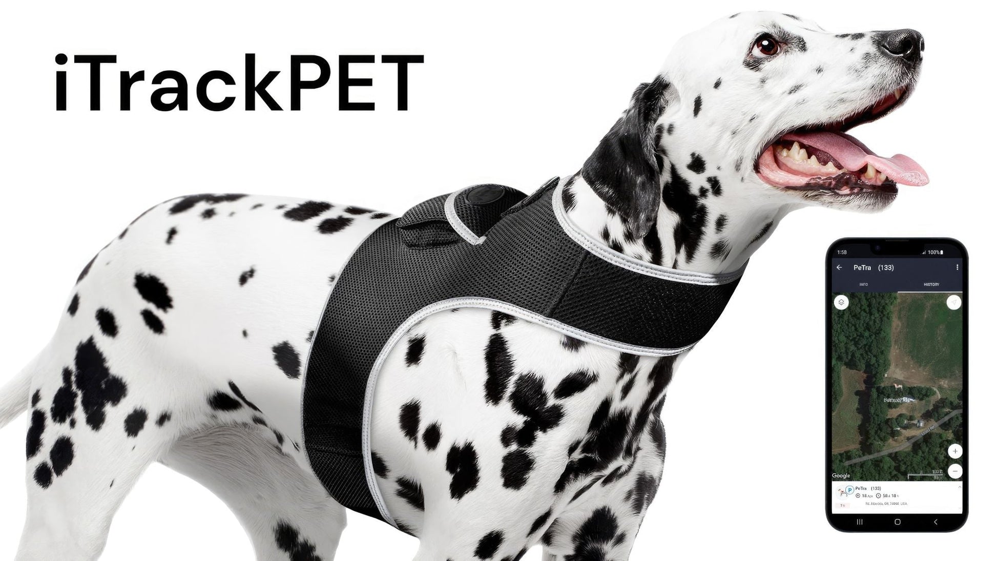 Dog tracking harness with built-in GPS module and smartphone app display