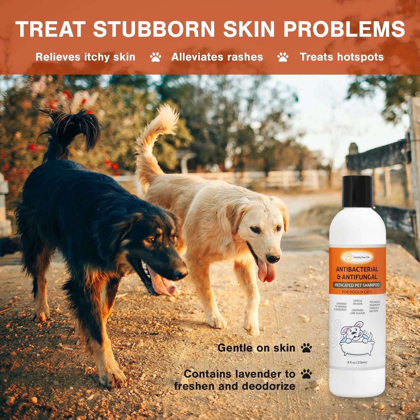 Medicated pet shampoo bottle with black cap beside two dogs on a path