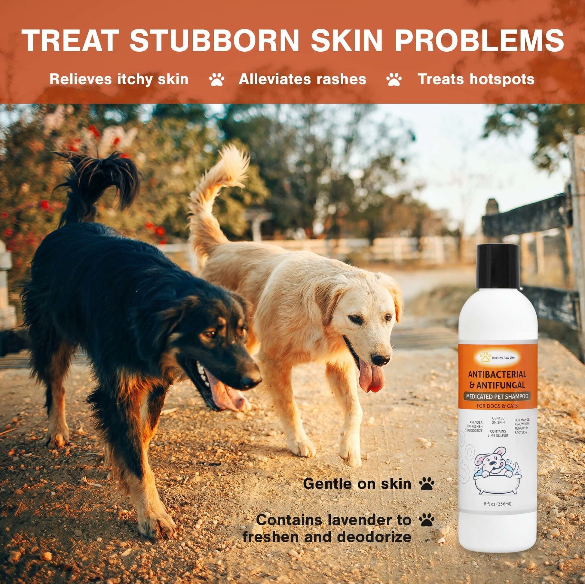 Medicated pet shampoo bottle with black cap beside two dogs on a path