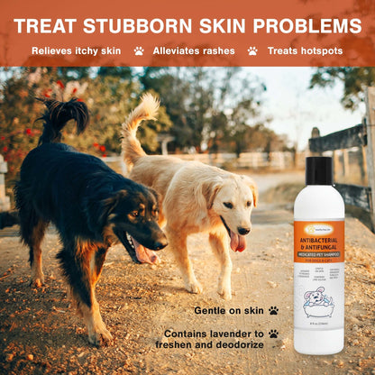 Medicated pet shampoo bottle with black cap beside two dogs on a path