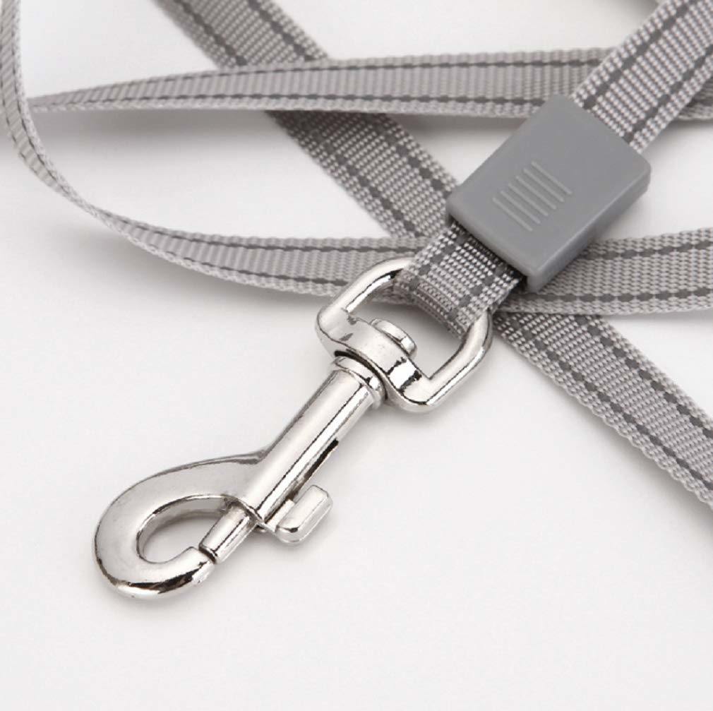 Retractable pet leash with gray nylon ribbon and chrome swivel clasp