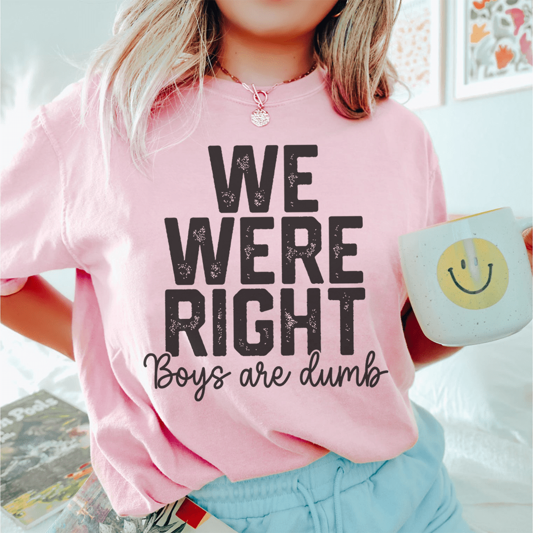 Pink crewneck T-shirt with 'WE WERE RIGHT' graphic and 'Boys are dumb' script