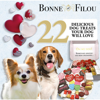 Bonne et Filou Valentine dog treats box with two dog photos and 22 treats.
