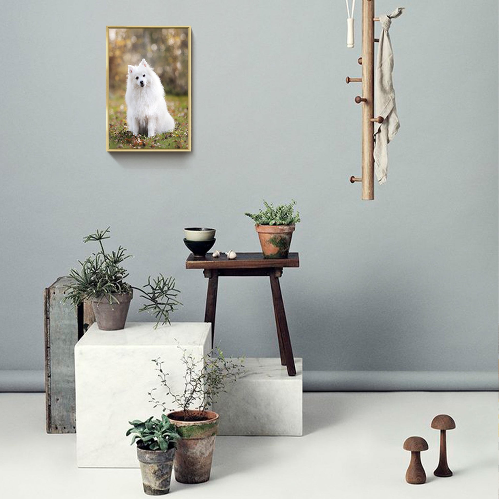 Gold-framed pet photo canvas wall art with a white dog sitting outdoors
