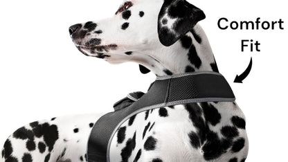 Black dog tracking collar with mounted tracker, fitted on a dalmatian’s neck