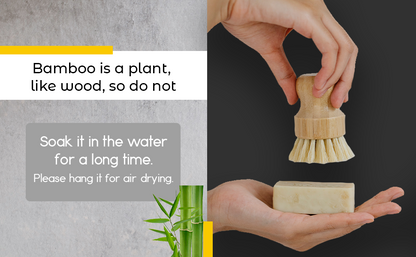Bamboo sisal dish brush held in hand, with pale bristle tips